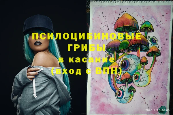 ECSTASY Лиски
