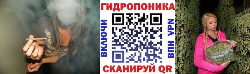 ссылка на мегу маркетплейс  Никольское  Марихуана OG Kush 